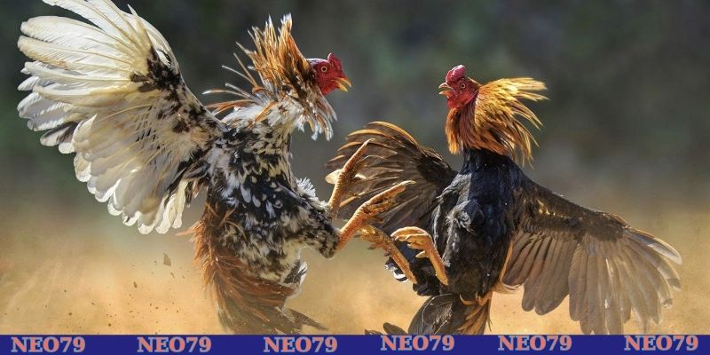 Áp dụng mẹo tăng khả năng
