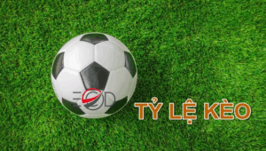 Các loại tỷ lệ kèo phổ biến hiện nay